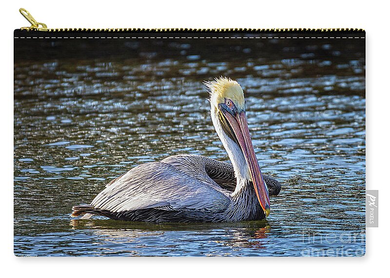 Nature Zip Pouch featuring the photograph Brown Pelican Posing - Pelecanus Occidentalis by DB Hayes
