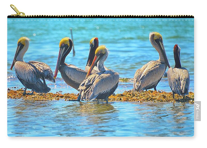 Englwood Florida Carry-all Pouch featuring the photograph Brunch by Alison Belsan Horton