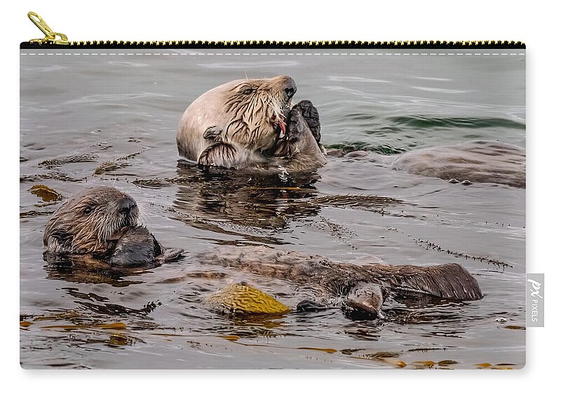 Sea Otter Zip Pouch featuring the photograph Brunch by Derek Dean