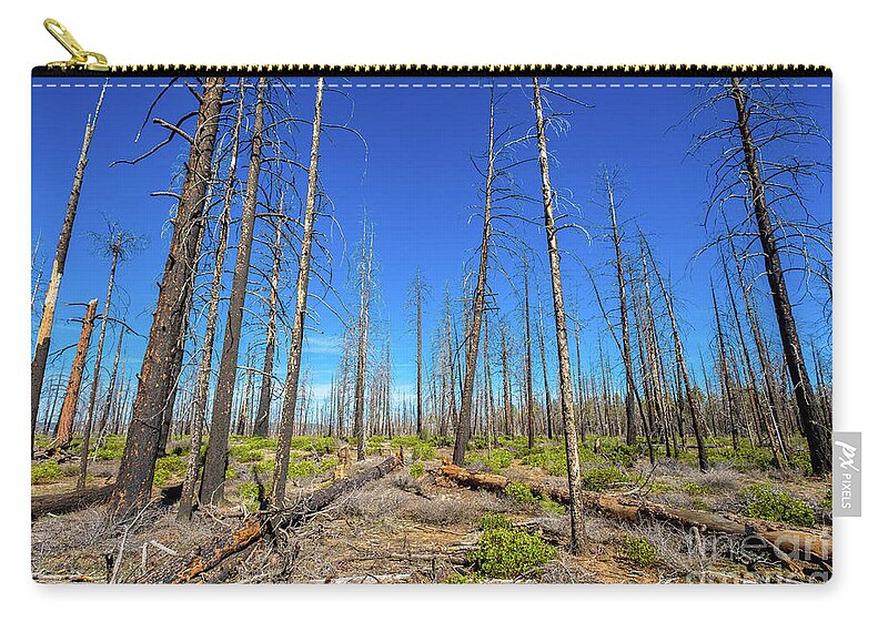 Bryce Canyon National Park Zip Pouch featuring the photograph Bryce Canyon Forest by Raul Rodriguez