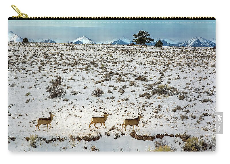 Wildlife Zip Pouch featuring the photograph Bucks On The Move by John Bartelt