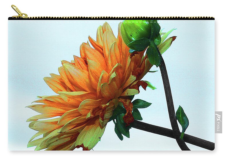 Flowers Zip Pouch featuring the photograph Bud and Blossom by Stuart Harrison