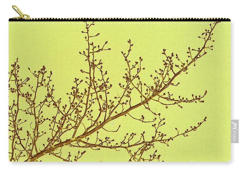 Infrared Zip Pouch featuring the photograph Budding by Izet Kapetanovic