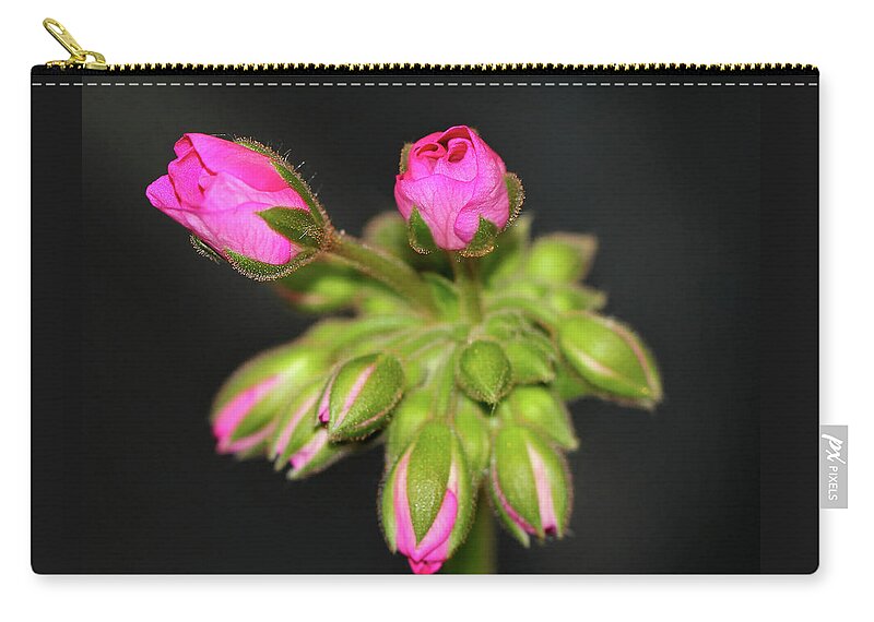 Flower Zip Pouch featuring the photograph Buds of Beauty by Karen Adams