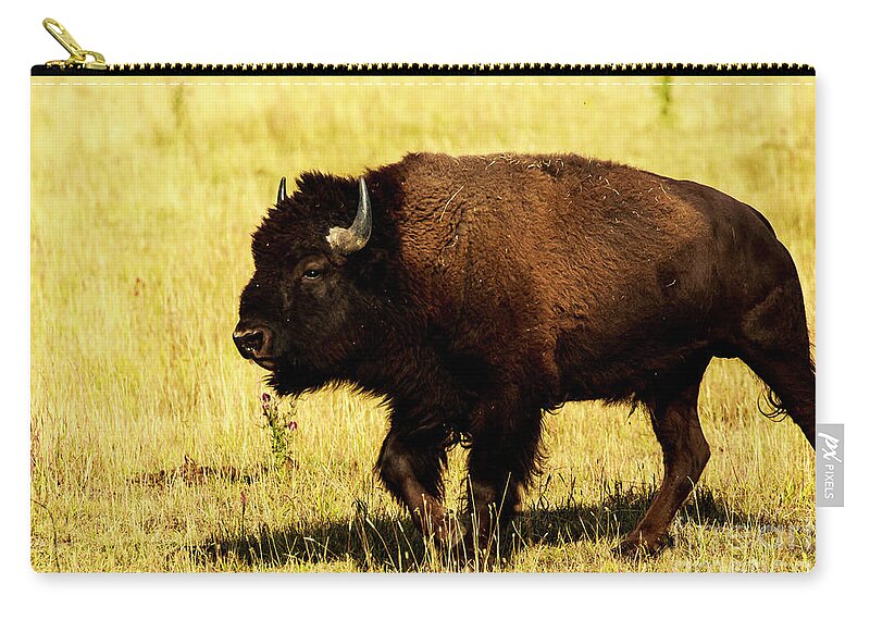 Buffalo Zip Pouch featuring the photograph Buffalo at Lamar Valley Yellowstone by Ben Graham