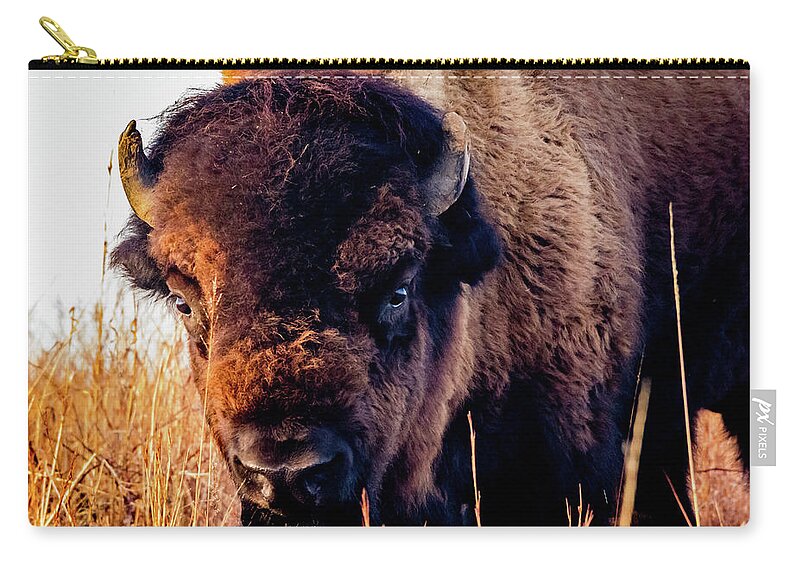 Jay Stockhaus Zip Pouch featuring the photograph Buffalo Face by Jay Stockhaus