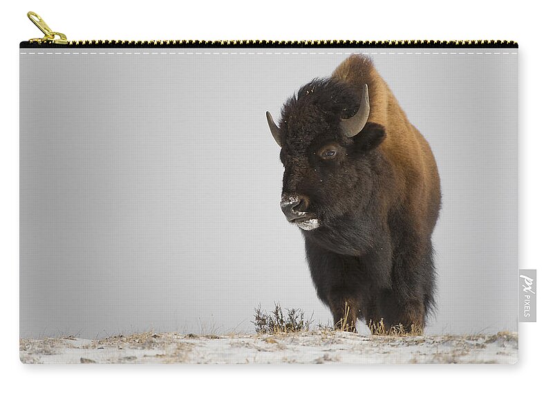 Winter Carry-all Pouch featuring the photograph Buffalo Leader by Bill Cubitt