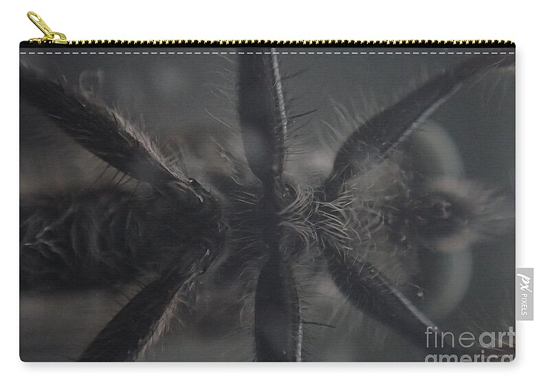 Color Zip Pouch featuring the photograph Bug Belly by Christina Verdgeline