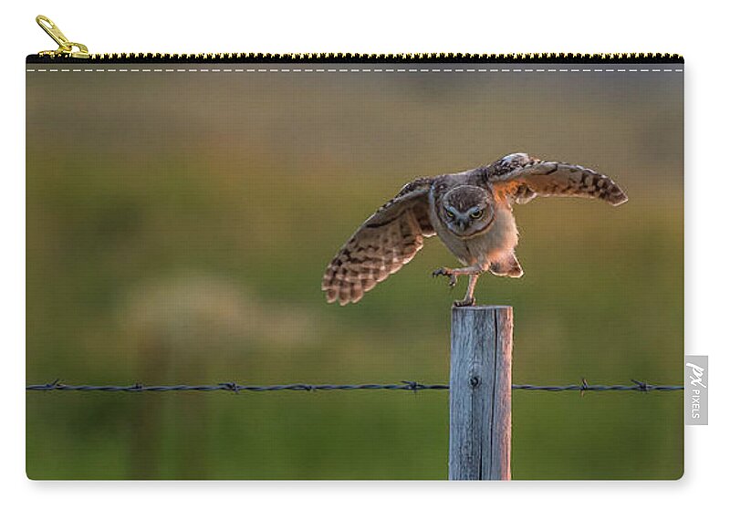 Owl Zip Pouch featuring the photograph Bug Dance At Eight by Yeates Photography