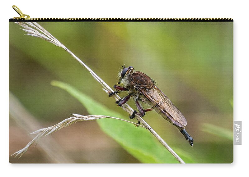 Wildlife Carry-all Pouch featuring the photograph Bug On A Stem by John Benedict