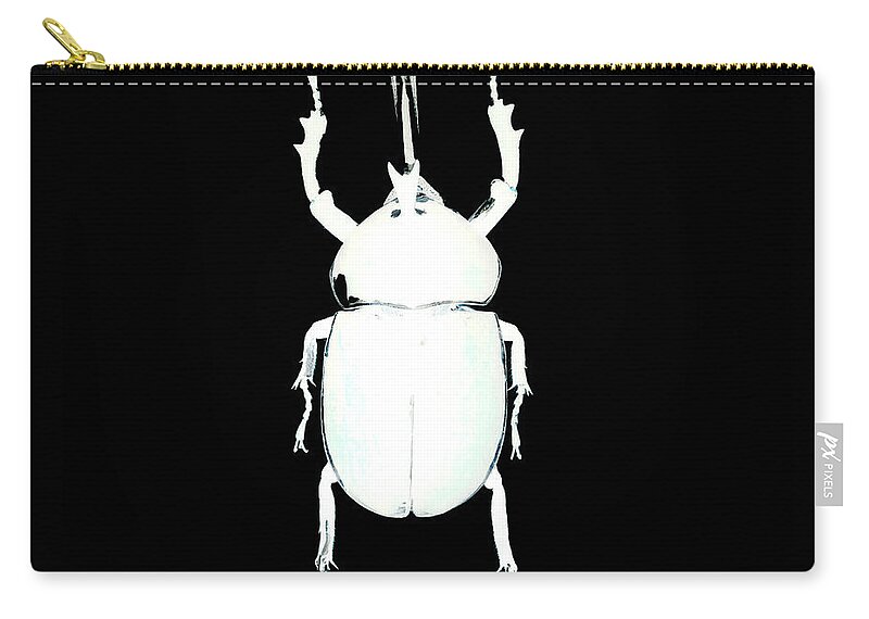 Bug Zip Pouch featuring the photograph Bug Series 026 by Clayton Bastiani