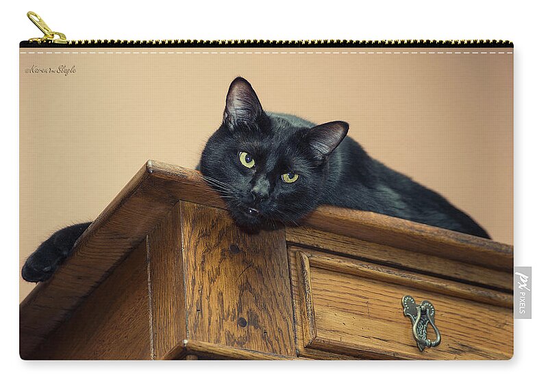 Feline Zip Pouch featuring the photograph Bugzy Watching From on High by Karen Slagle