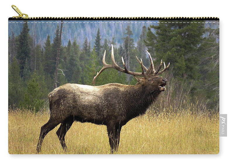 2017 Zip Pouch featuring the photograph Bugling Bull Elk by Kelly Kennon