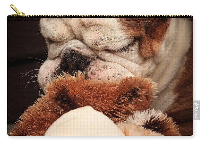 Animal Zip Pouch featuring the photograph Bull Dog vs. Stuffed Dog by Joni Eskridge