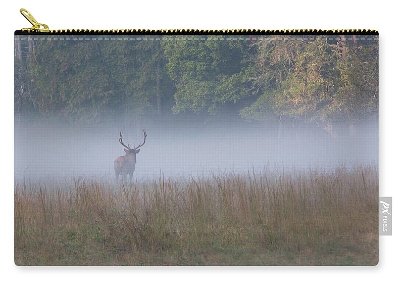 Elk Zip Pouch featuring the photograph Bull Elk Disappearing in Fog - September 30 2016 by D K Wall
