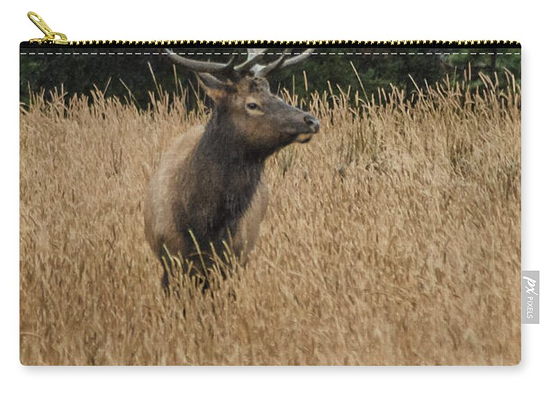 Dakota Zip Pouch featuring the photograph Bull Elk in Yellowstone by Greni Graph