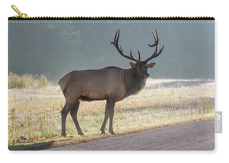 Bull Carry-all Pouch featuring the photograph Bull Elk Watching by D K Wall