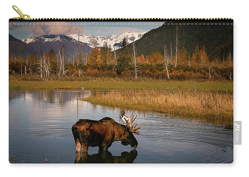 Moose Zip Pouch featuring the photograph Bull Moose by Benjamin Dahl