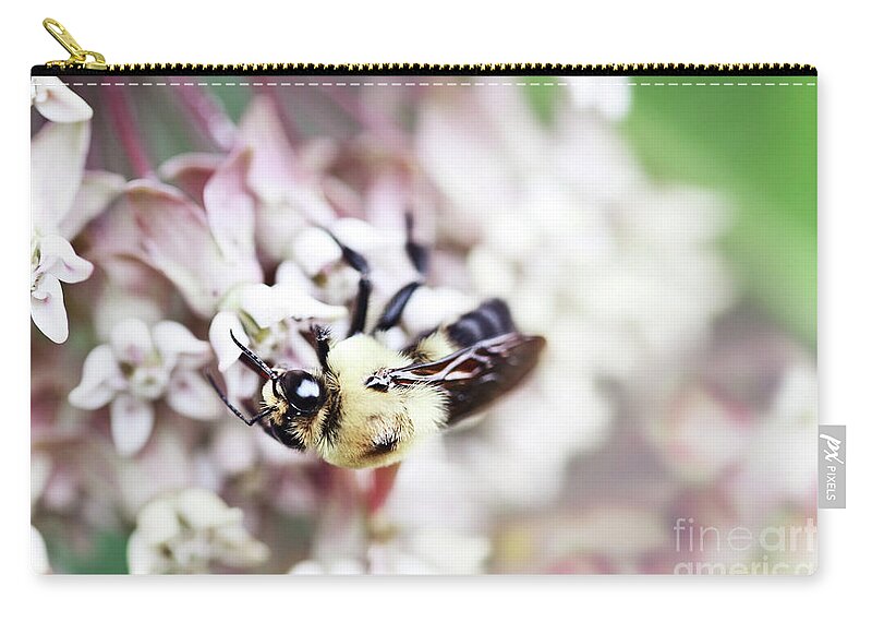 Bumble Bee Zip Pouch featuring the photograph Bumble Bee and Milkweed by Stephanie Frey