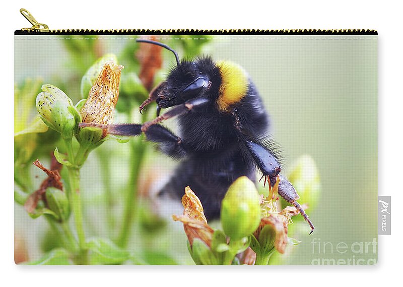 Insect Zip Pouch featuring the photograph Bumble bee on flower by Michal Boubin