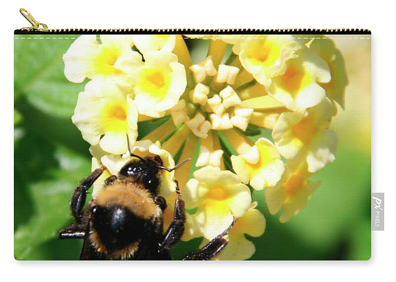 Bee Zip Pouch featuring the photograph Bumble Bee on Yellow Flowers by George Jones