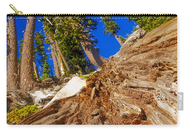California Zip Pouch featuring the photograph BUMPASS HELL Tree Down by LeeAnn McLaneGoetz McLaneGoetzStudioLLCcom