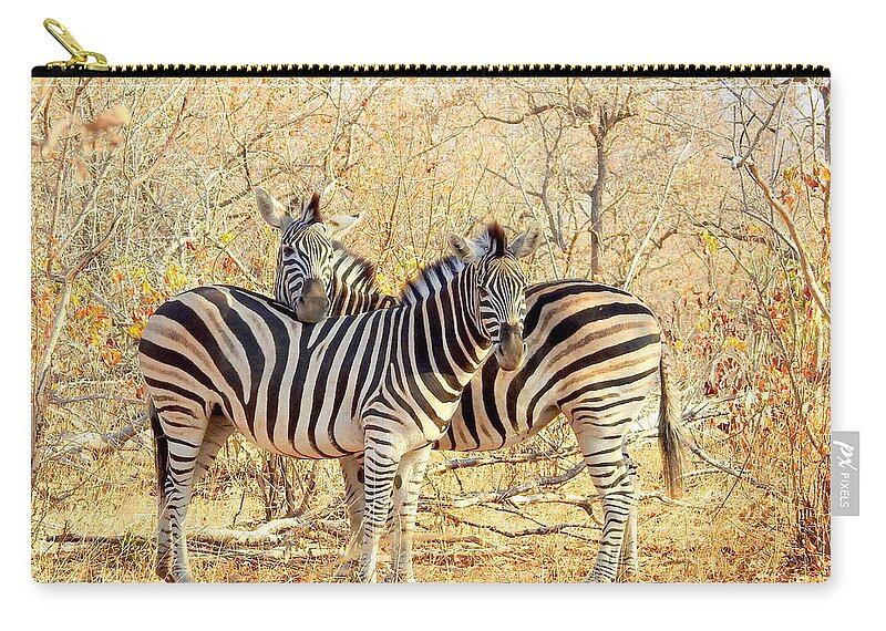 Zebra Zip Pouch featuring the photograph Burchells Zebras by Betty-Anne McDonald