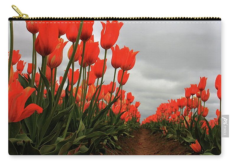 Tulip Zip Pouch featuring the photograph Burgundy Lace by Douglas Berg