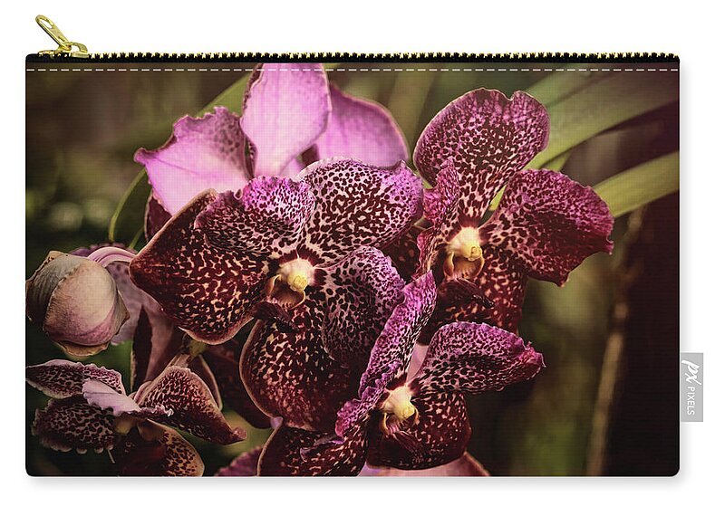 Orchids Zip Pouch featuring the photograph Burgundy Treasures by Judy Vincent