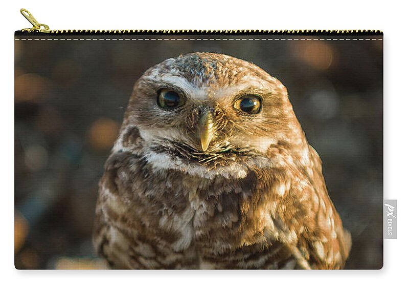 Cute Zip Pouch featuring the photograph Burrowing Owl by Dean Birinyi
