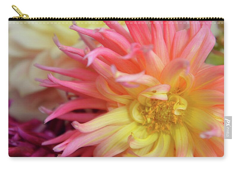 Jigsaw Puzzle Zip Pouch featuring the photograph Burst of Sunshine by Carole Gordon