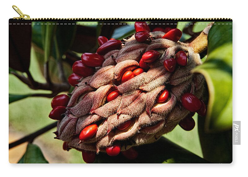 Seed Carry-all Pouch featuring the photograph Bursting Forth by Christopher Holmes
