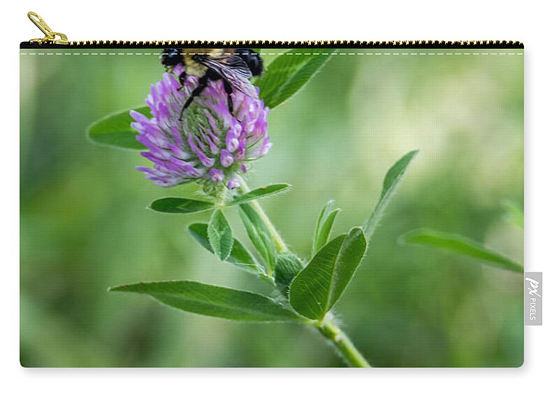 Bee Carry-all Pouch featuring the photograph Busy Bee by Holden The Moment