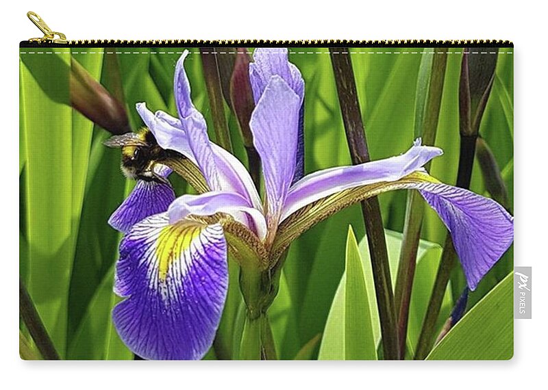 Colour Zip Pouch featuring the photograph Bee Dreams by Rowena Tutty
