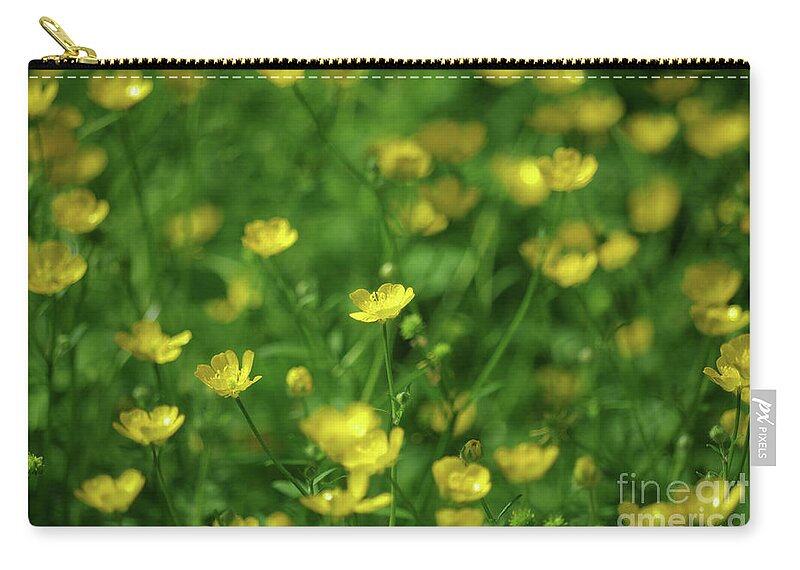 Anther Zip Pouch featuring the photograph Buttercup Field- Butler Creek Trail- Gresham- Oregon by Rick Bures
