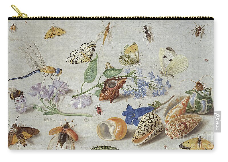 Butterflies And Other Insects Zip Pouch featuring the painting Butterflies and other Insects, 1661 by Jan Van Kessel