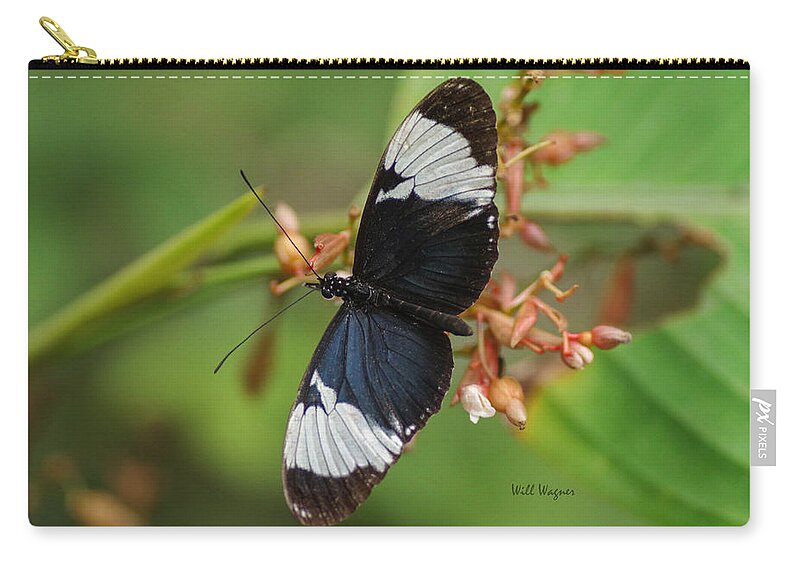 Butterfly Zip Pouch featuring the photograph Butterfly 06 by Will Wagner