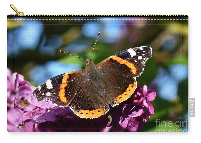 Beautiful Zip Pouch featuring the photograph Butterfly 12 by Jean Bernard Roussilhe