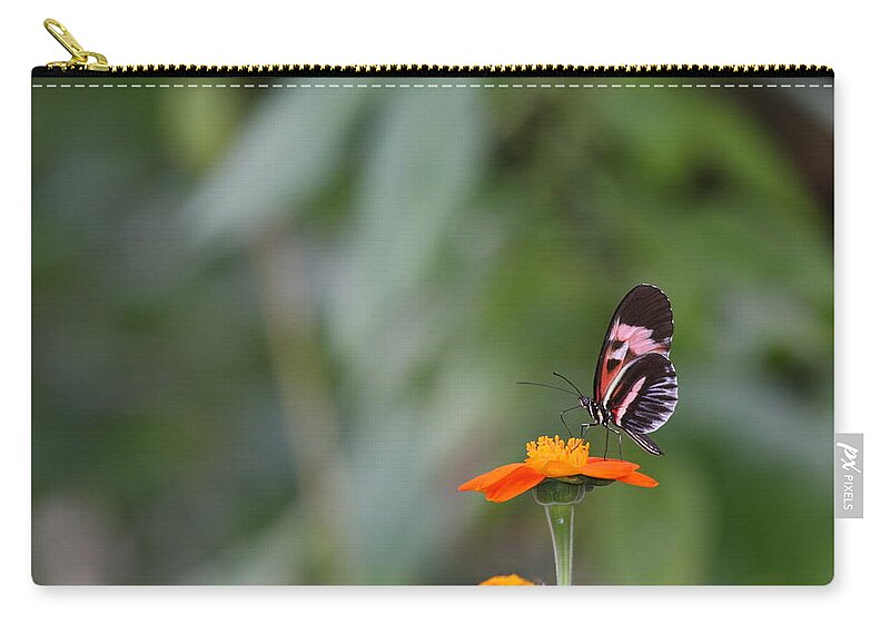 Butterfly Carry-all Pouch featuring the photograph Butterfly 16 by Michael Fryd