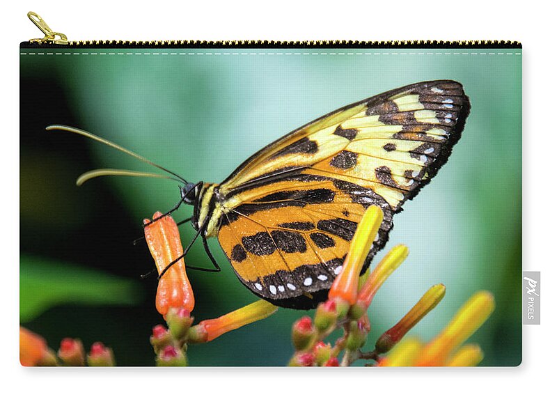 Butterfly Zip Pouch featuring the photograph Butterfly #1957 by Chuck Flewelling