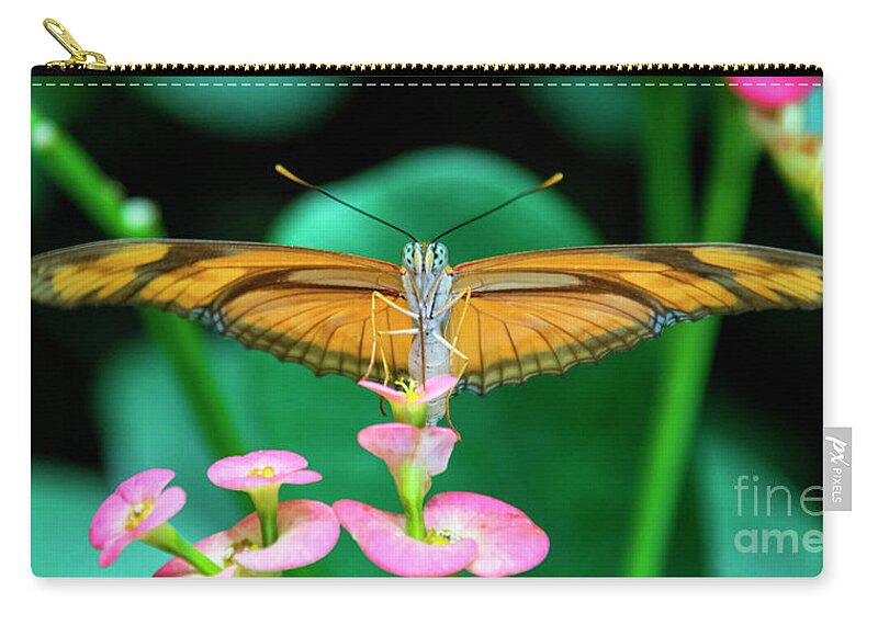Butterfly Zip Pouch featuring the photograph Butterfly #1983 by Chuck Flewelling