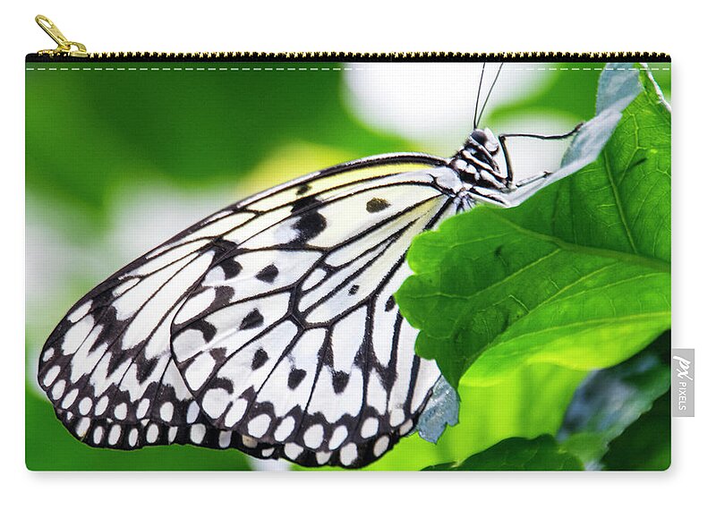 Butterfly Zip Pouch featuring the photograph Butterfly #2025 by Chuck Flewelling