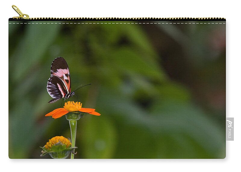 Butterfly Carry-all Pouch featuring the photograph Butterfly 26 by Michael Fryd