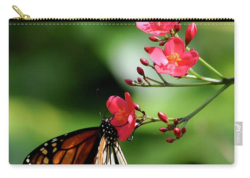 Hawaii Zip Pouch featuring the photograph Butterfly and blossom by Dan McManus