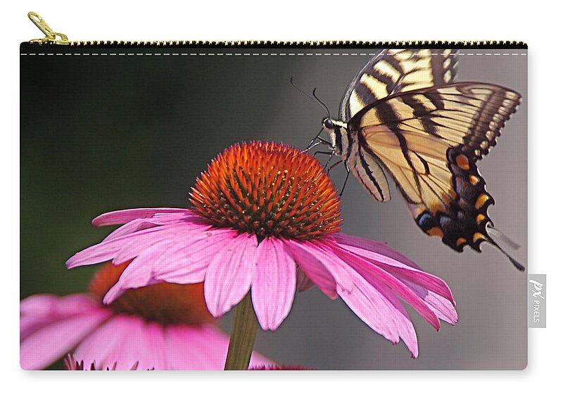 Tiger Swallowtail Butterfly Zip Pouch featuring the photograph Butterfly and Coneflower by Byron Varvarigos