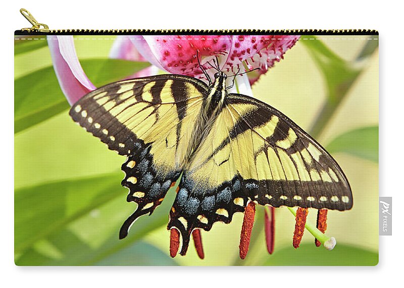 Butterfly Zip Pouch featuring the photograph Butterfly and Lily by Garden Gate
