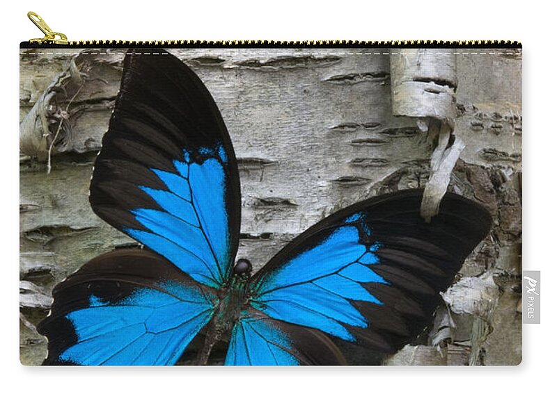 Butterfly Zip Pouch featuring the photograph Butterfly by Andreas Freund