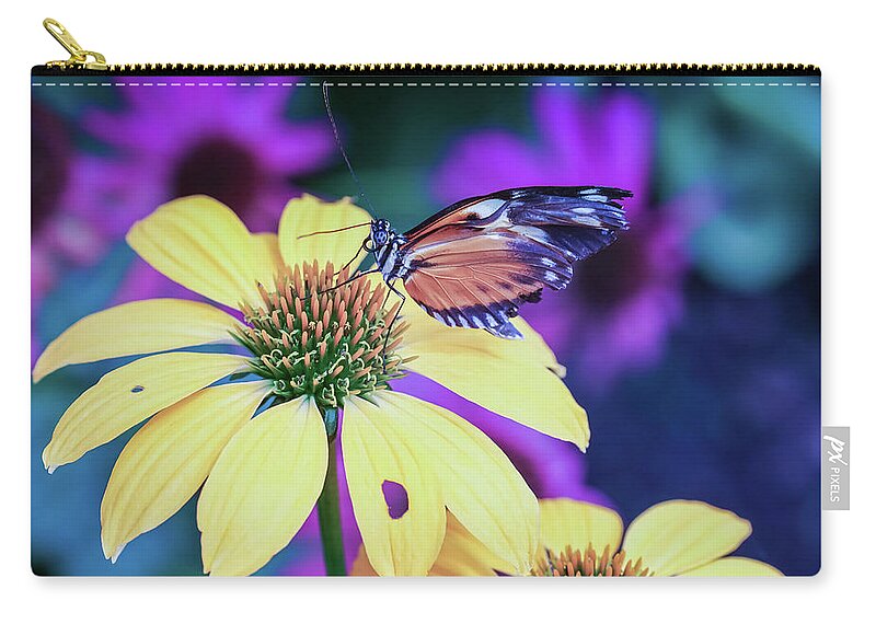  Zip Pouch featuring the photograph Butterfly Blues by Rebekah Zivicki
