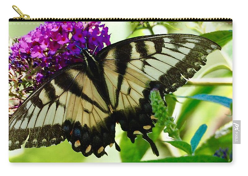 Butterfly Zip Pouch featuring the photograph Butterfly Damage by Shawn M Greener