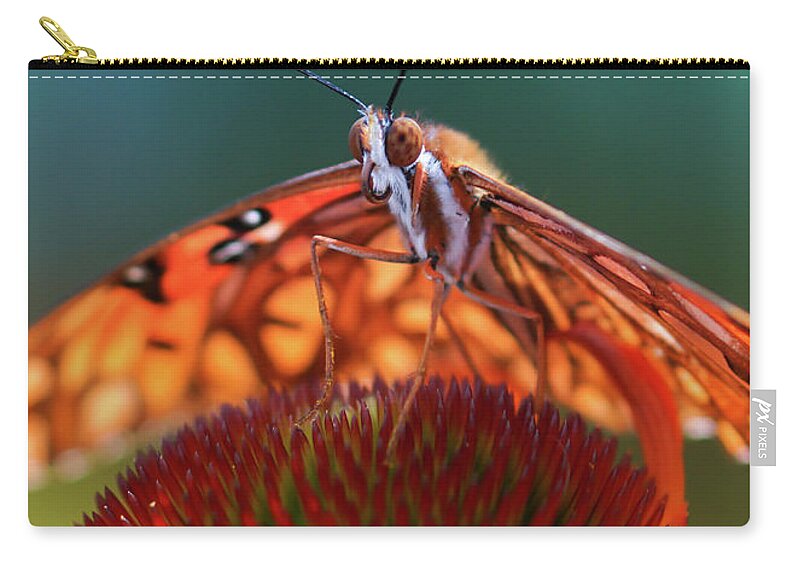  Zip Pouch featuring the photograph Butterfly Face by Rebekah Zivicki